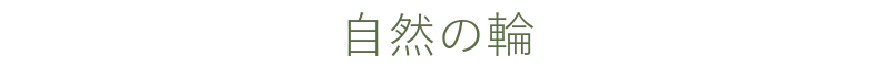 自然の輪？尾﨑が育てた野菜では、ぐるぐる回ってます。