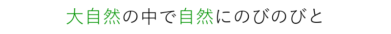大自然の中で育てることで自然にのびのびと